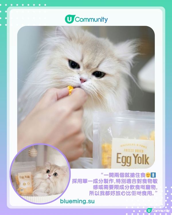 【#UCreator實測報告】Whiskers N Paws寵物凍乾零食