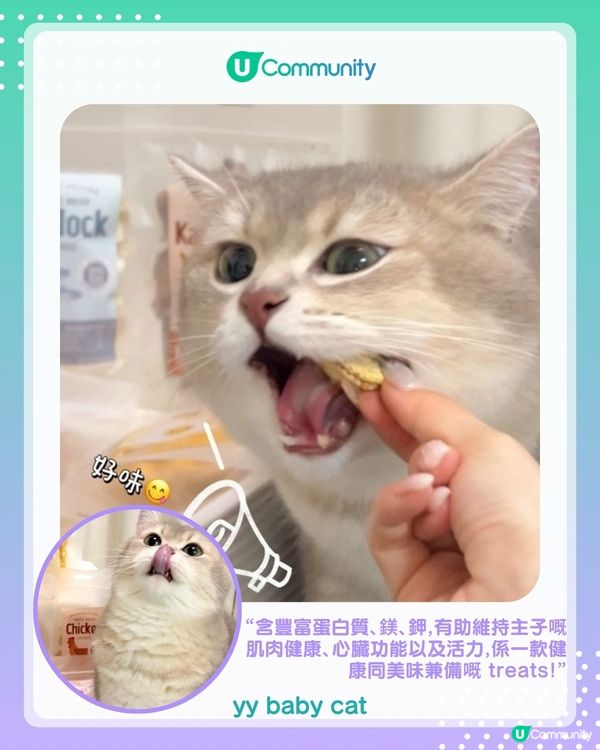 【#UCreator實測報告】Whiskers N Paws寵物凍乾零食