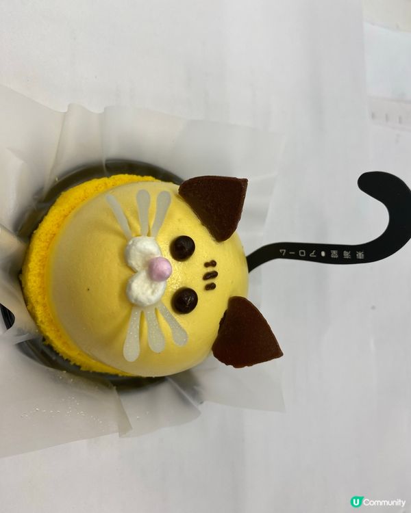 散水餅驚喜！東海堂貓貓慕絲😻！