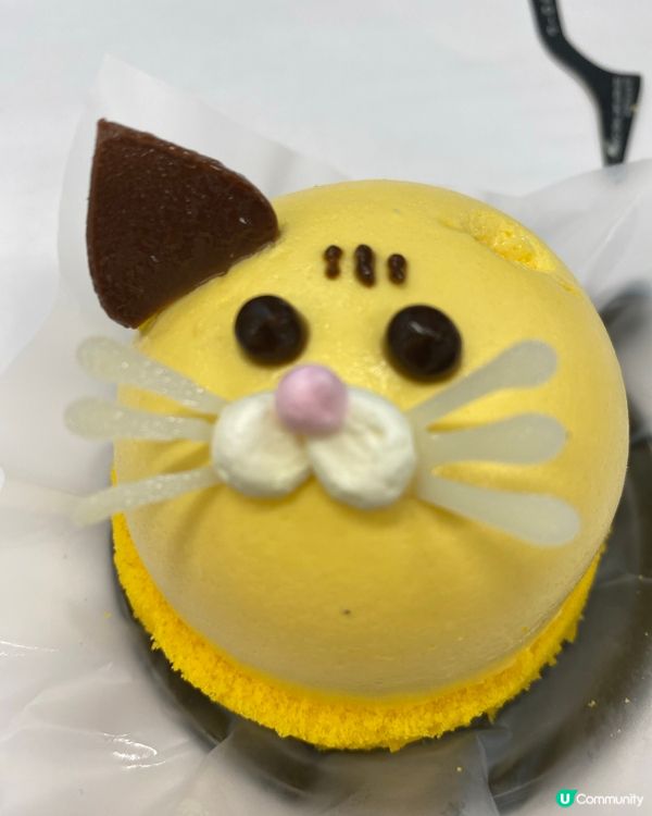 散水餅驚喜！東海堂貓貓慕絲😻！