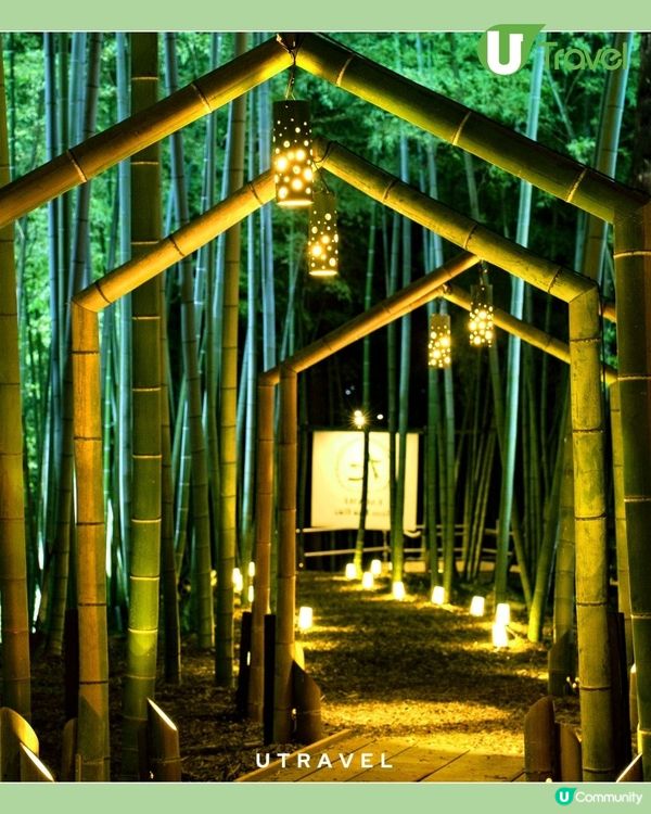 京都重現嵐山「竹林光之隧道」 從渡月橋延伸的「光之小路」