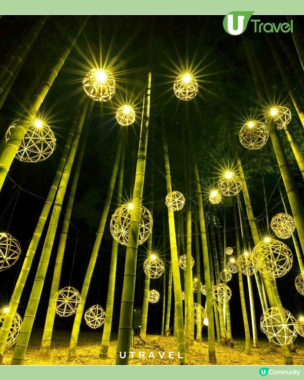 京都重現嵐山「竹林光之隧道」 從渡月橋延伸的「光之小路」