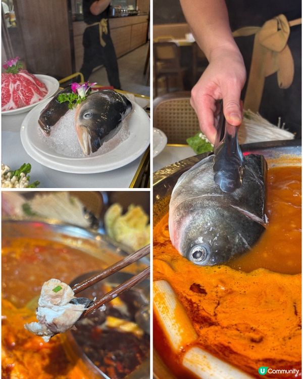 🎀荃灣｡真新鮮魚頭極鮮味火鍋🐟🎀