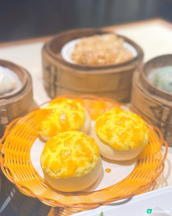 淥鼎記飲茶😋！蝦餃燒賣必食！🥟🍤