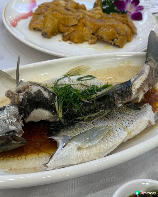 白灼蝦，蒸鯇魚，鹽焗雞，清炒時菜