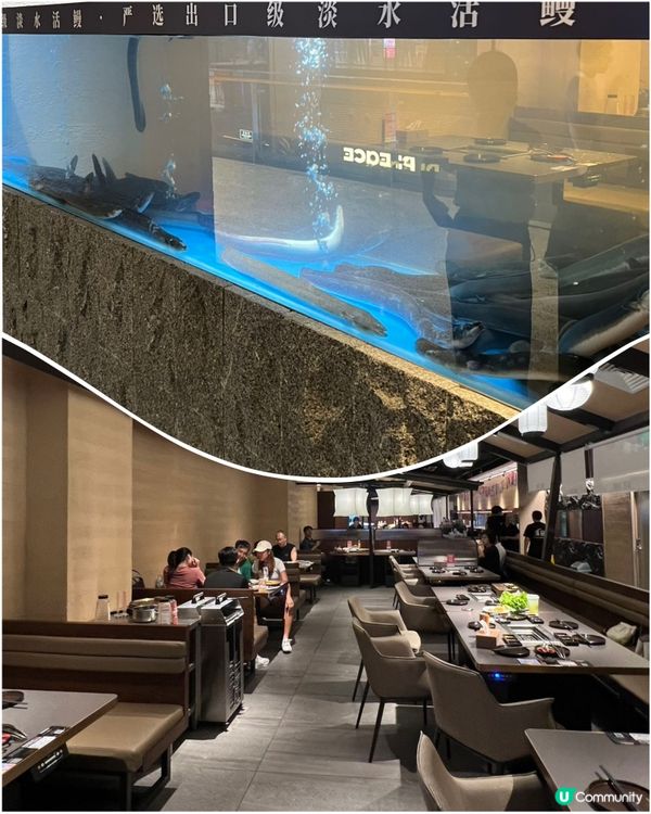 蒲匠和牛燒肉放題🤤！深圳福田必食！🥩