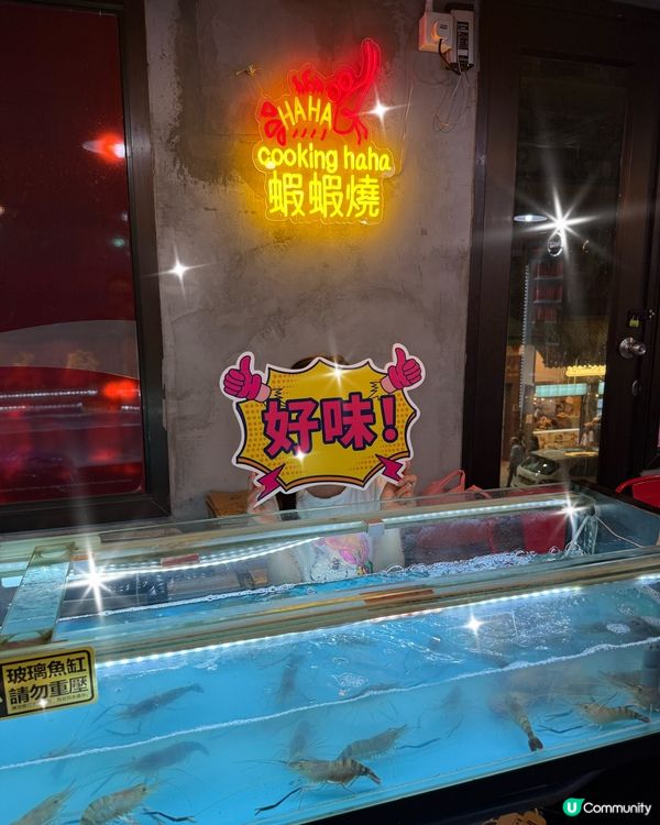 香港一日遊攻略！老港新派全Get 🤩