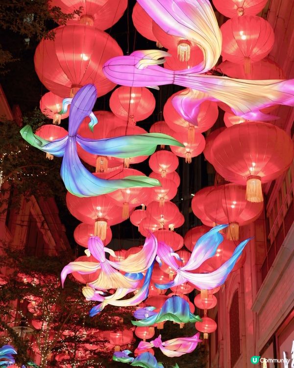 中秋利東街賞燈🏮！800+燈籠打卡📸！