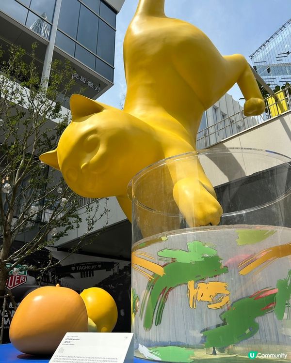 深圳灣萬象城二期攻略！週末快閃GO🥳