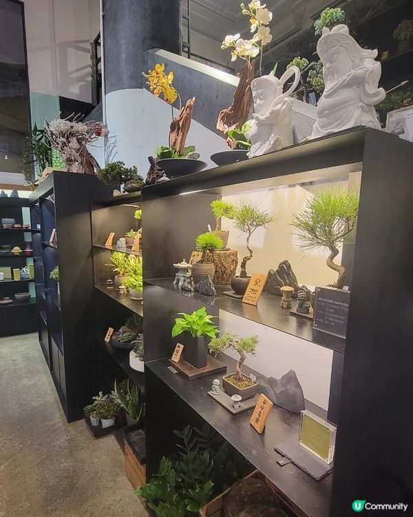   灣仔素食新發現！🌿 享受身心靈嘅平靜😌