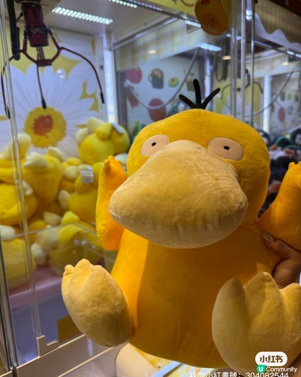 【全港首夾！免費夾公仔攻略🤩】