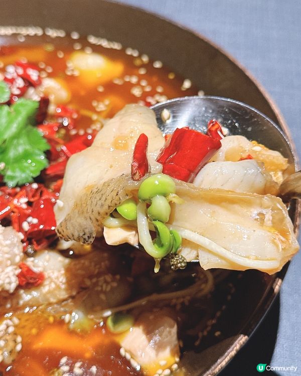 正宗川味深圳灣！黑珍珠入圍餐廳😋 人均$170+！