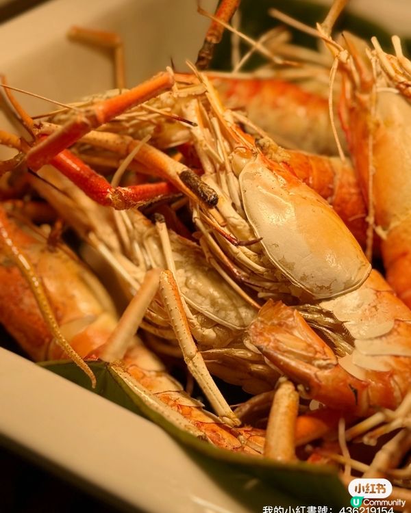 一邊睇鮮劏吞拿魚🐟一邊食?! 東薈城秋宴😋