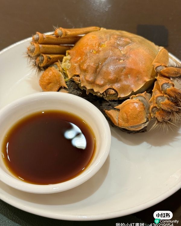 一邊睇鮮劏吞拿魚🐟一邊食?! 東薈城秋宴😋