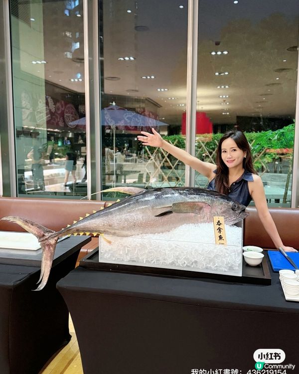 一邊睇鮮劏吞拿魚🐟一邊食?! 東薈城秋宴😋