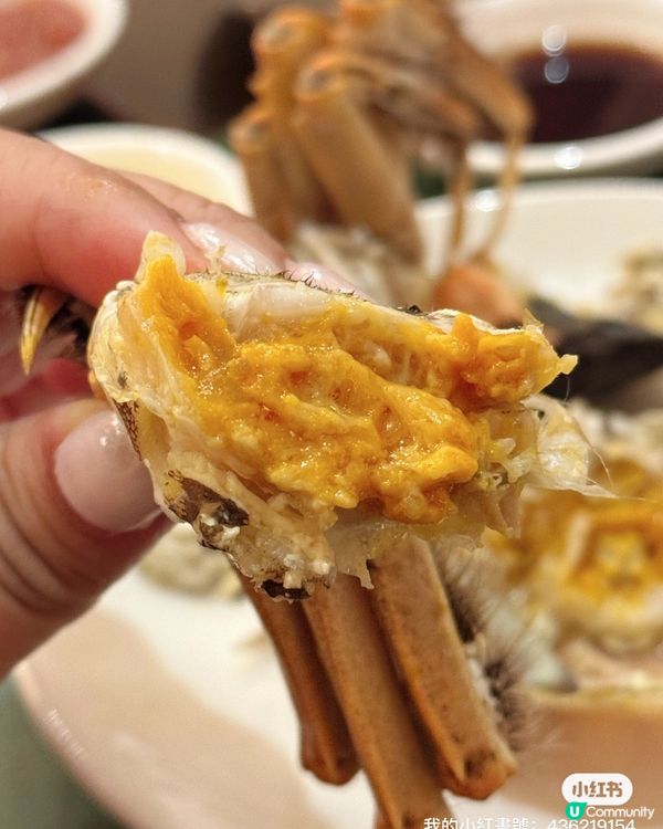 一邊睇鮮劏吞拿魚🐟一邊食?! 東薈城秋宴😋