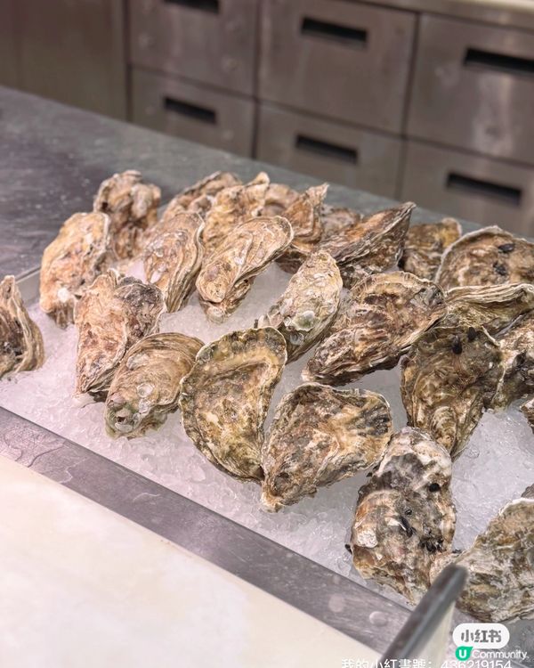 一邊睇鮮劏吞拿魚🐟一邊食?! 東薈城秋宴😋