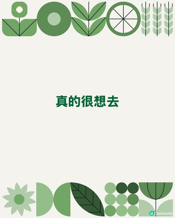 很想去自，可惜要返工未能去睇！