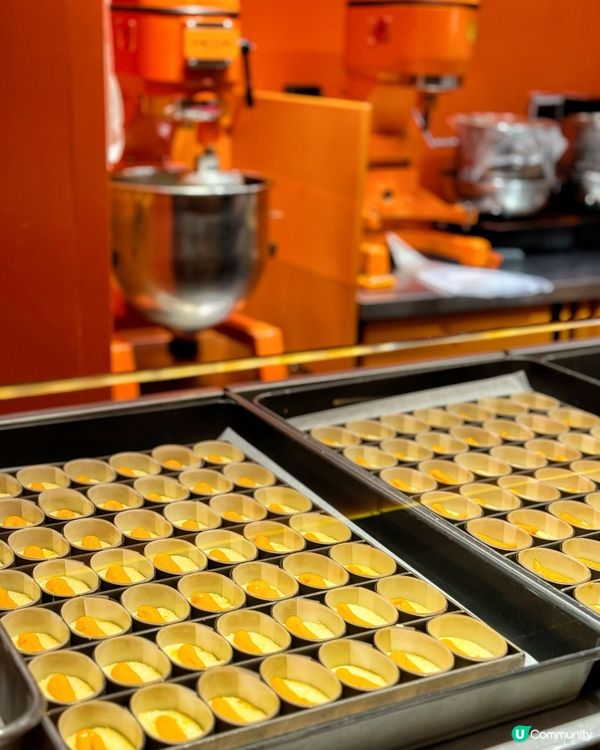 芝士控必衝｜ 深圳Kumo Kumo 🧀