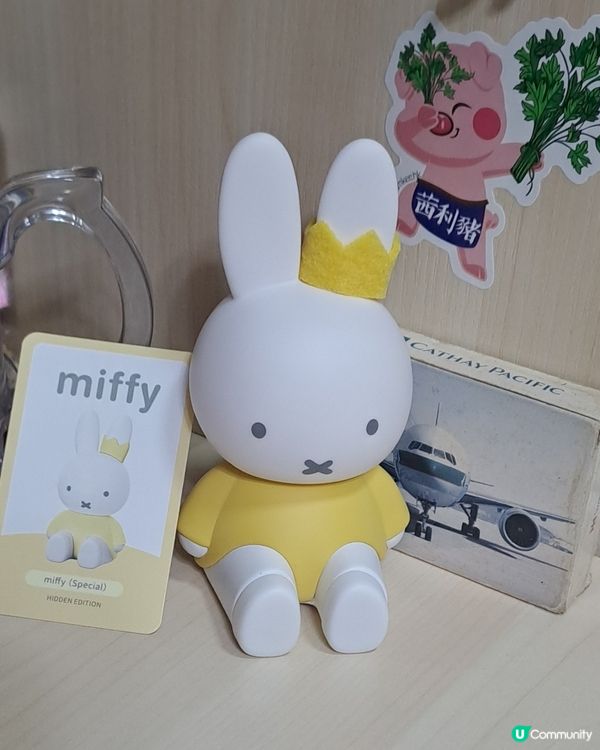 南記茜利豬令我變犀利豬☘️🐷