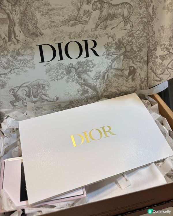 Dior 最新傲姿唇膏🇰🇷集運到港！刻字超正😍