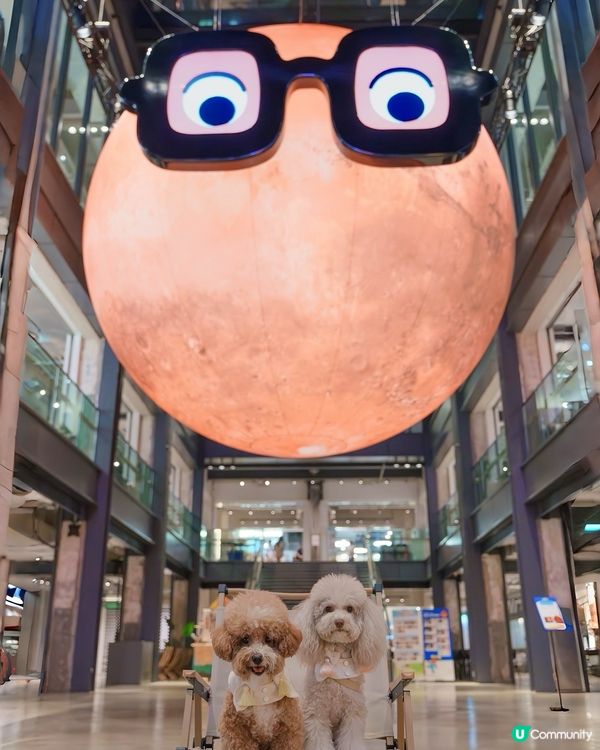 Hello Mr. MARS♥️