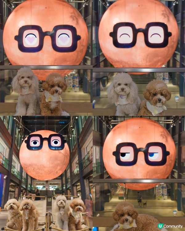 Hello Mr. MARS♥️