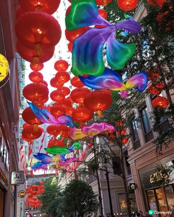 中秋節掛滿燈籠