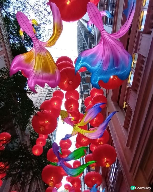 中秋節掛滿燈籠