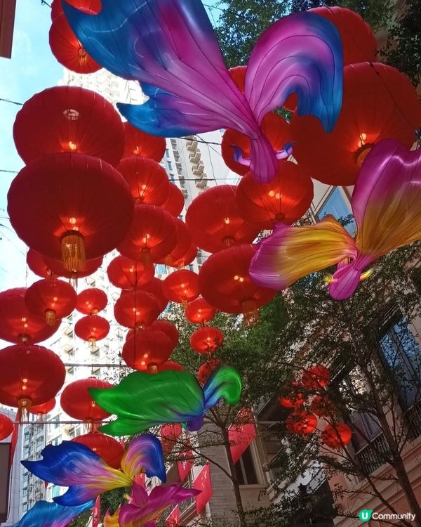 中秋節掛滿燈籠