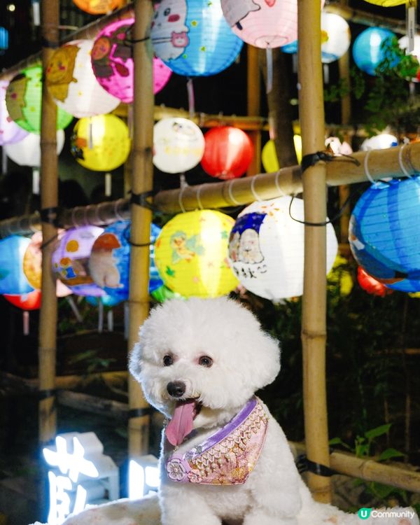 中秋打卡第一站🌙