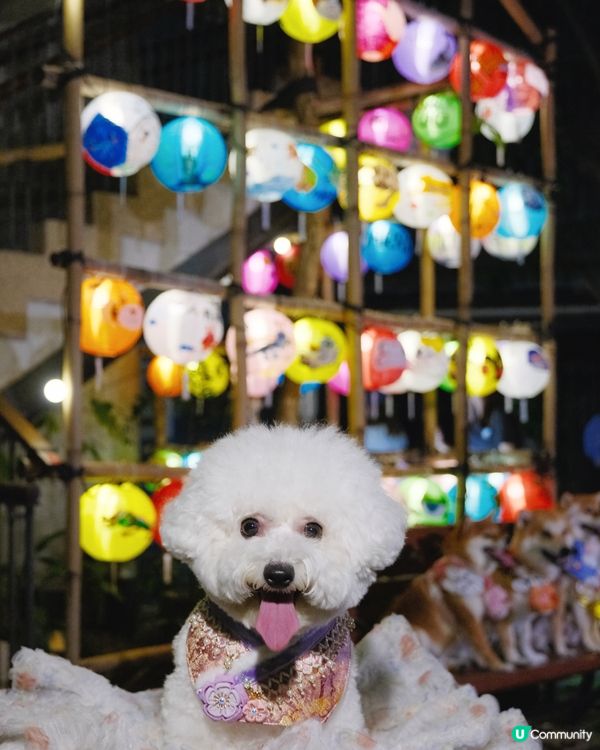 中秋打卡第一站🌙