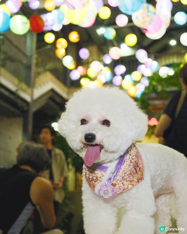 中秋打卡第一站🌙