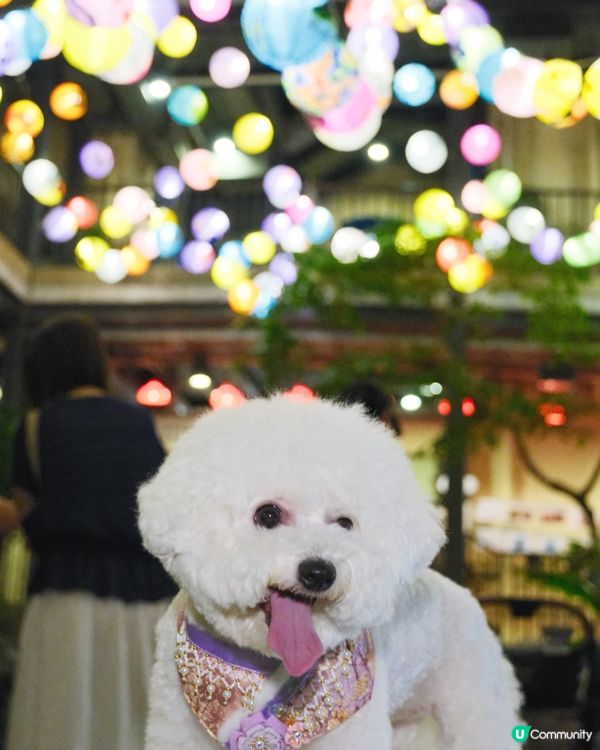 中秋打卡第一站🌙