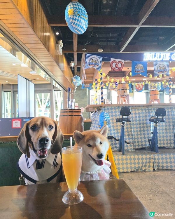 德國餐廳 (將軍澳)