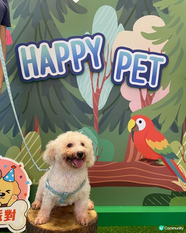 第一次帶狗狗到合和商場