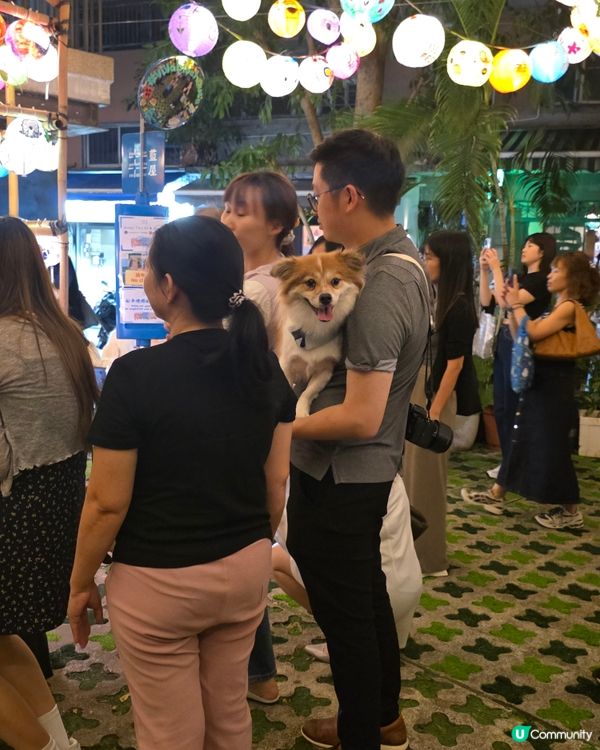 搶眼狗狗