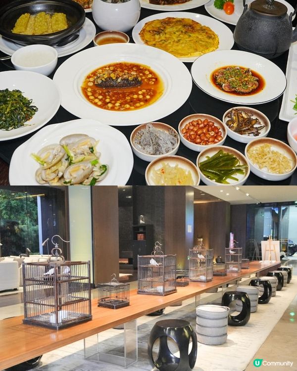 出差深圳必住！隱藏喺華強北嘅設計師酒店