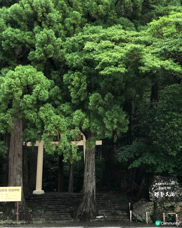 環遊日本🇯🇵熊野古道一日遊攻略⛩️