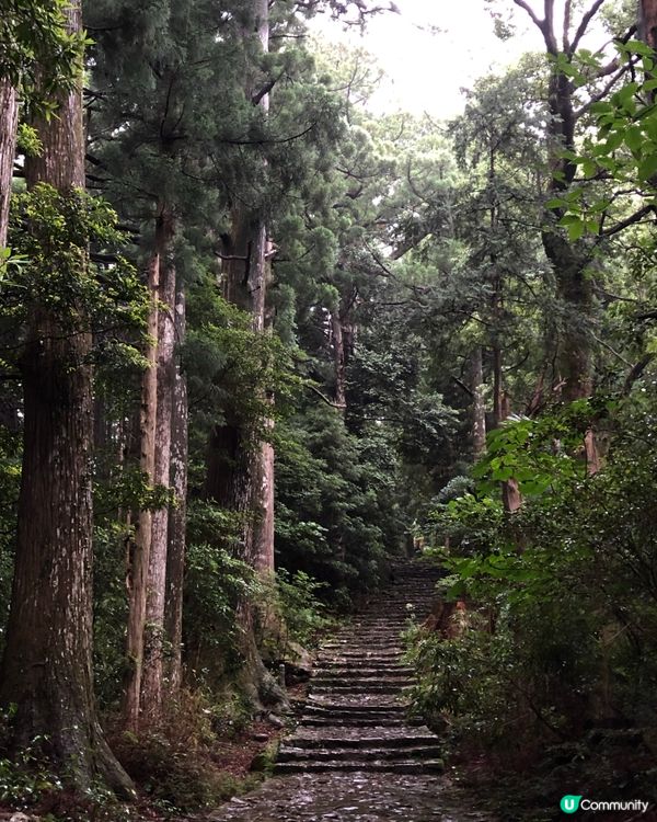 環遊日本🇯🇵熊野古道一日遊攻略⛩️