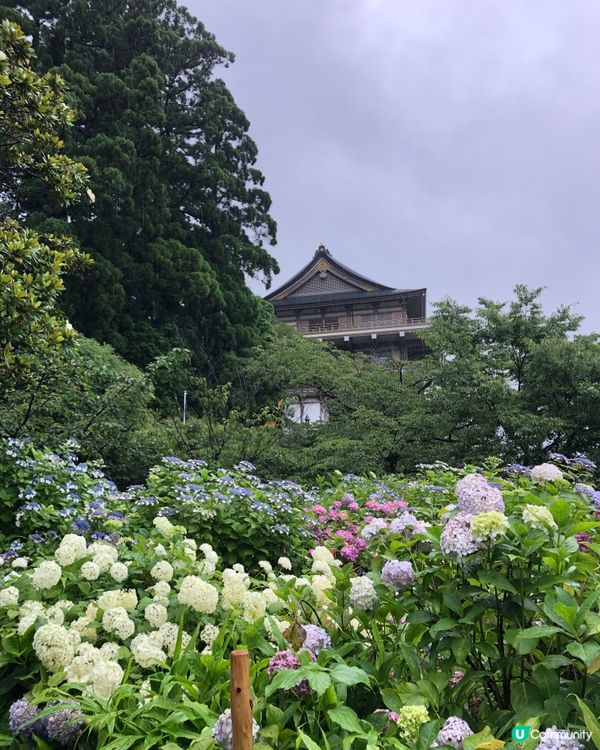 環遊日本🇯🇵熊野古道一日遊攻略⛩️