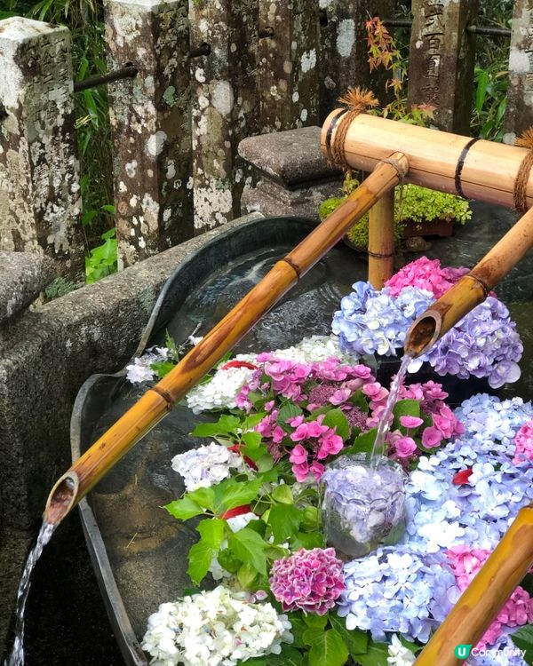 環遊日本🇯🇵熊野古道一日遊攻略⛩️