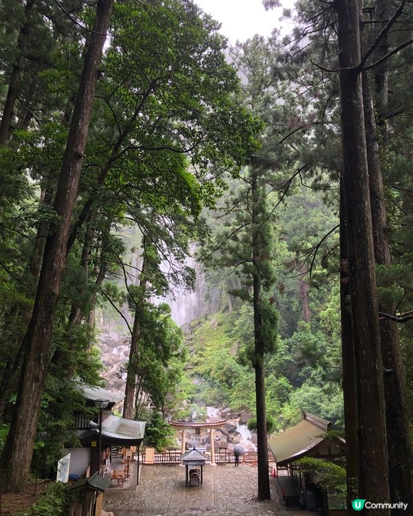 環遊日本🇯🇵熊野古道一日遊攻略⛩️