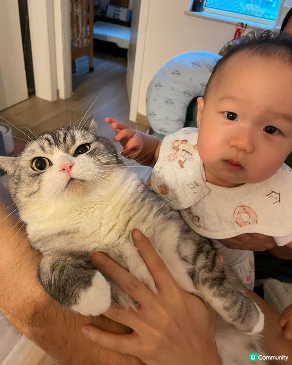 貓貓新朋友仔！🐱 慢慢建立友誼！🤝