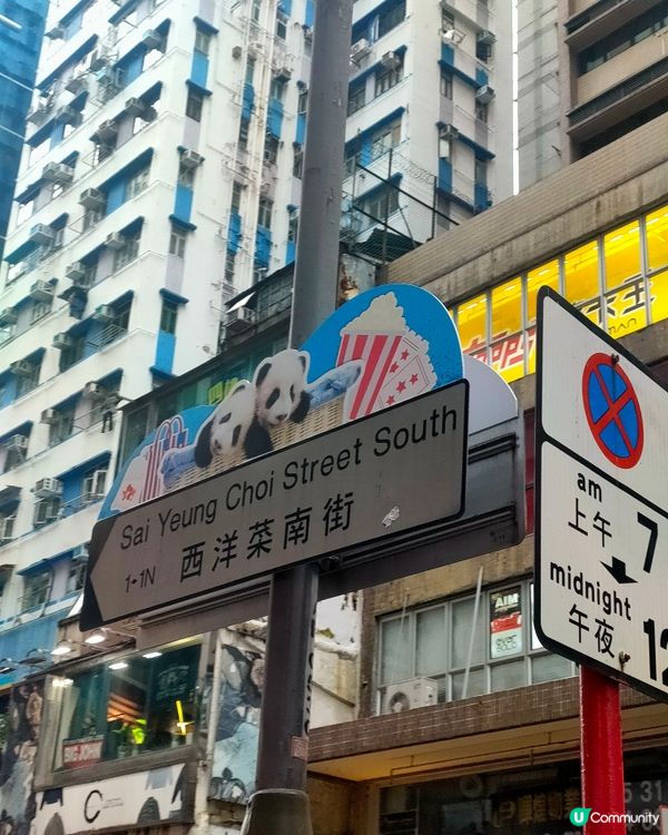 西洋菜南街街牌，熊貓家姐細佬出沒！🐼📸 旺角打卡攻略！