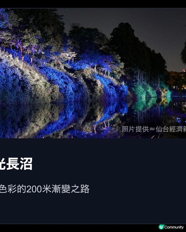 極具誠意仙台光影活動🪩