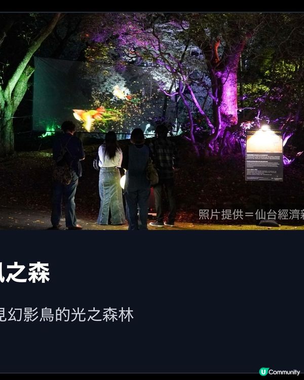 極具誠意仙台光影活動🪩