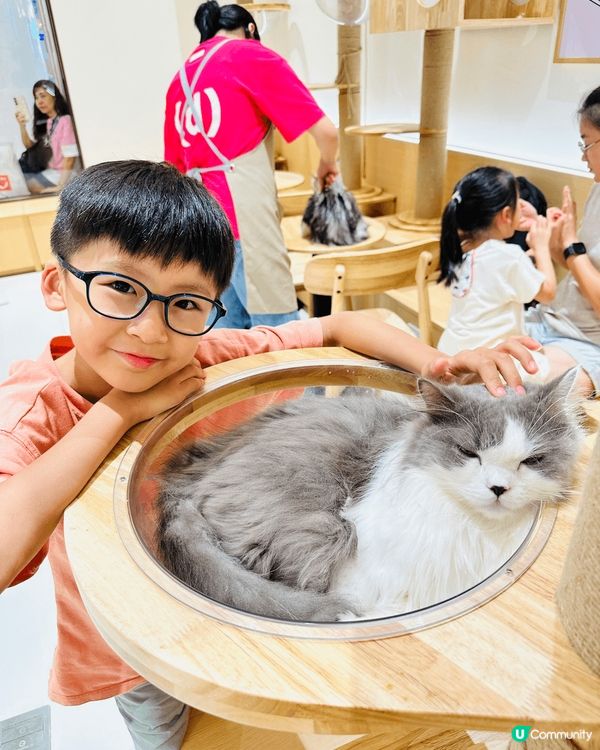 最近有朋友介紹去深圳某商場可以同貓貓🐈‍⬛玩一整個下午，兩個...