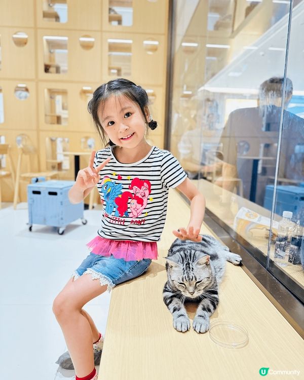 最近有朋友介紹去深圳某商場可以同貓貓🐈‍⬛玩一整個下午，兩個...