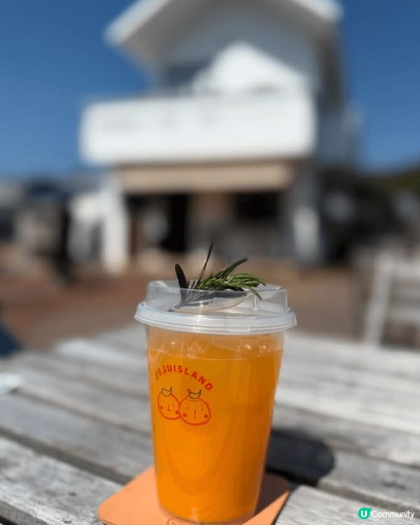 圖片為南韓濟州著名的cafe，可在內喝到出名的橘子特飲，亦有...